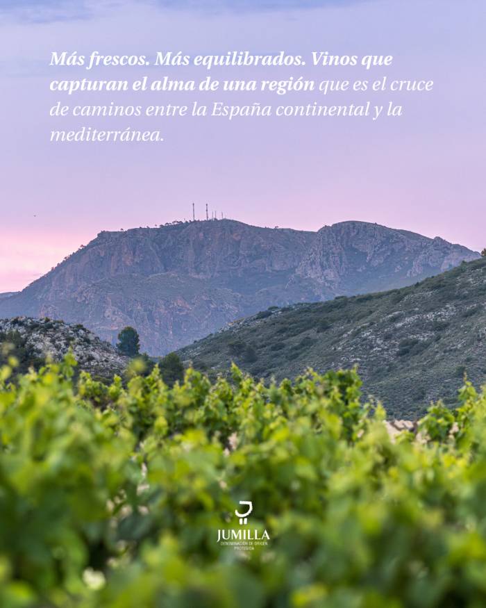 Jumilla logra la distinción de Región del Año en el informe de Tim Atkin y Beth Willard
