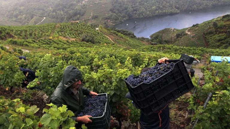 UNESCO Sends Ribeira Sacra World Heritage Bid Back for Revision
