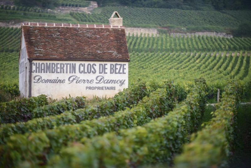 Louis Roederers Burgundy Purchase Revives Fears Over Vineyard Speculation