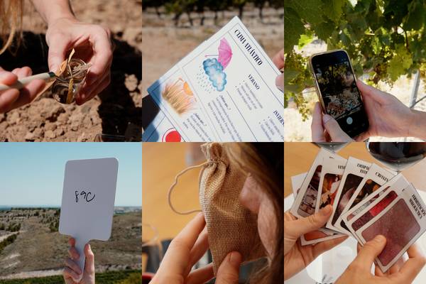 Monteabellón organiza una jornada entre viñedos para explicar el origen de sus vinos