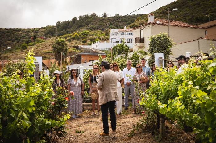 Más de 600 personas pasan por Descorcha Canarias en las bodegas de Canary Wine