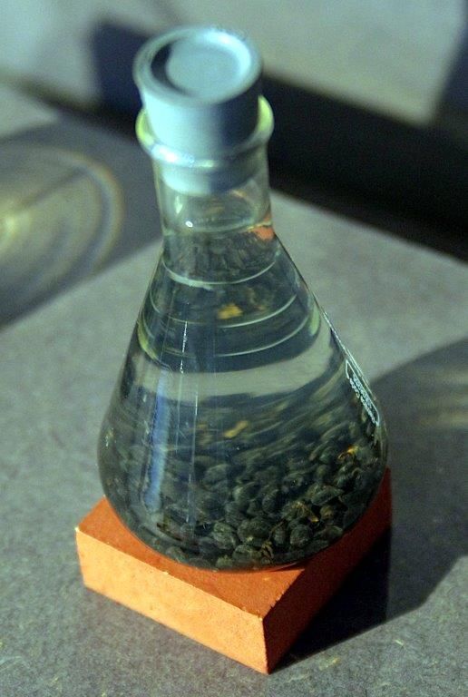 伊特鲁里亚遗址研究将基安蒂酿酒史推前至公元前3世纪