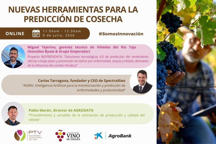 El sector del vino prepara un webinar sobre nuevas herramientas de predicción de cosecha