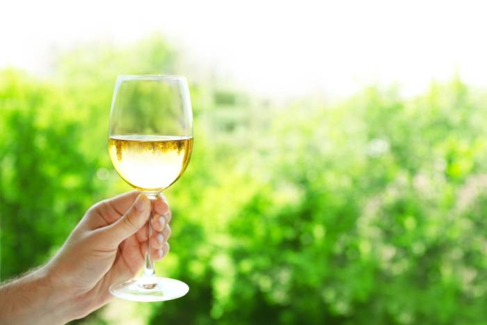 Médoc AOC Gains Approval to Produce Dry White Wines for First Time in Its History