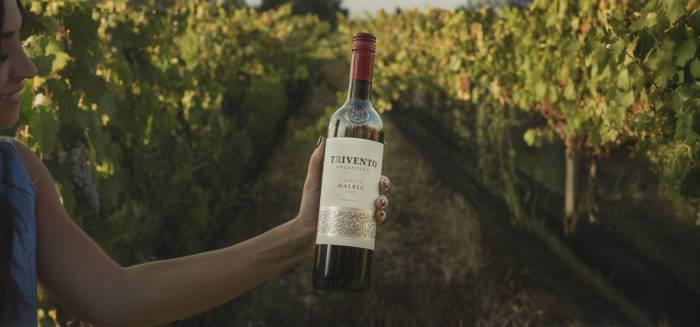 Trivento impulsa la sostenibilidad y la innovación en el sector vitivinícola argentino