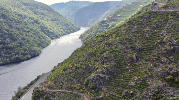 Ribeira Sacra llevará 43 vinos a ProWein 2026 en Düsseldorf
