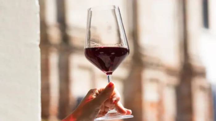 Argentina’s Wine Consumption Drops to Historic Low as Health Trends Shift Habits