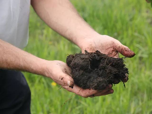 South Tyrol Launches Online Manure Exchange to Link Livestock and Crop Farmers