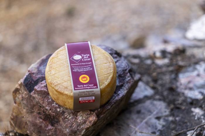 La DOP Torta del Casar certifica 480.362 quesos en 2025 tras una caída del consumo