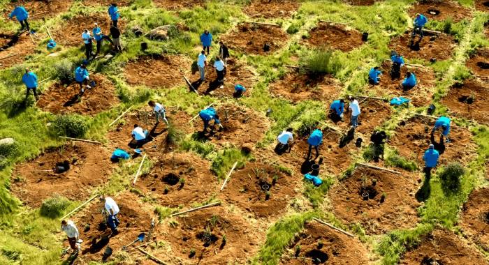 Suntory Beverage & Food Spain devuelve a la naturaleza el 20% del agua consumida en su planta de Toledo