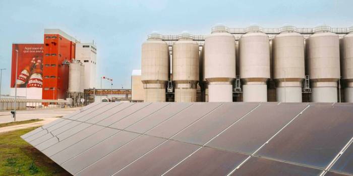 Mahou San Miguel lanza un ambicioso plan de sostenibilidad para transformar su impacto social y ambiental