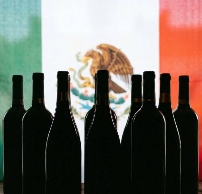 Chile Overtakes Spain as Mexico’s Top Wine Supplier by Volume in 2025