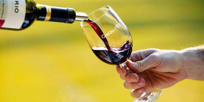 Chilean Wineries Report Widespread Losses as Global Wine Consumption Hits Historic Lows