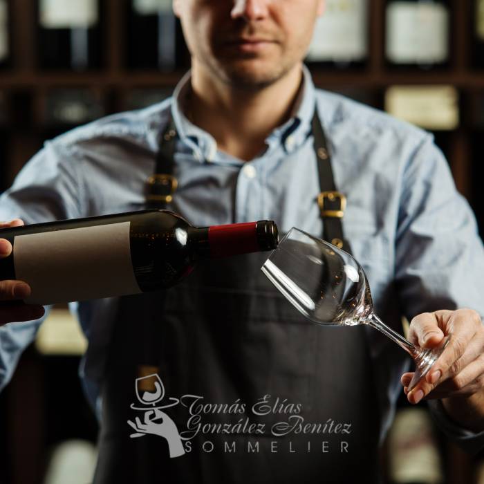 El vino moderno se transforma: innovación, sostenibilidad y nuevos consumidores marcan el sector