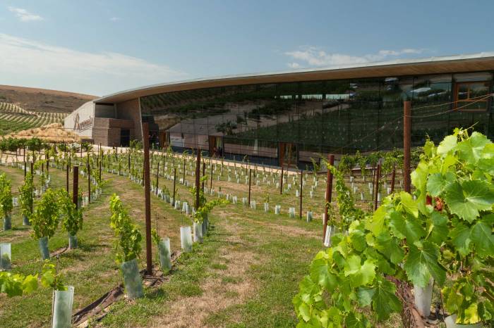 Bodegas Beronia inaugura los 'Terraceos entre Viñas' con vino, gastronomía y música en directo