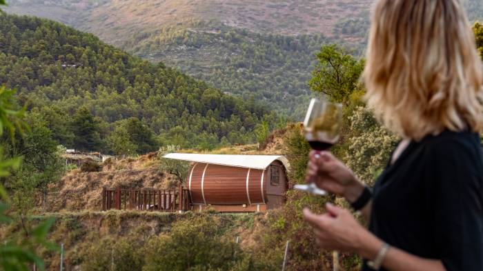 El 67% de los enoturistas en Alicante compra vino tras la visita y valora la experiencia social