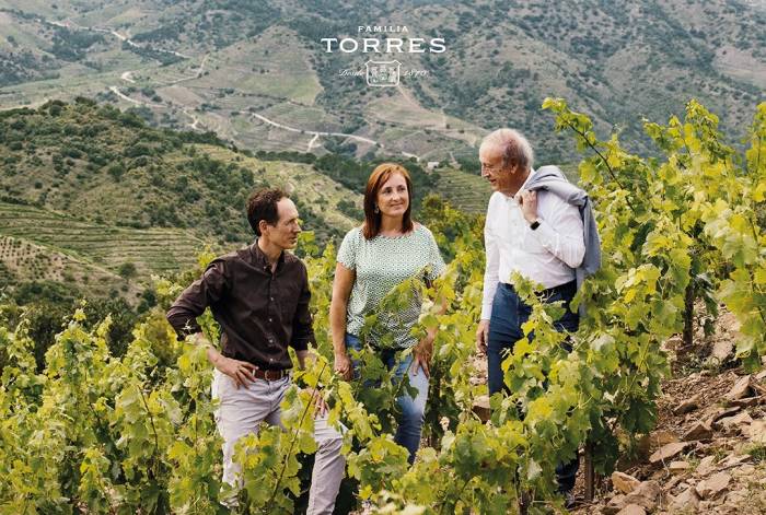 Familia Torres culmina su fusión interna para simplificar su estructura y reforzar su liderazgo en el sector vitivinícola