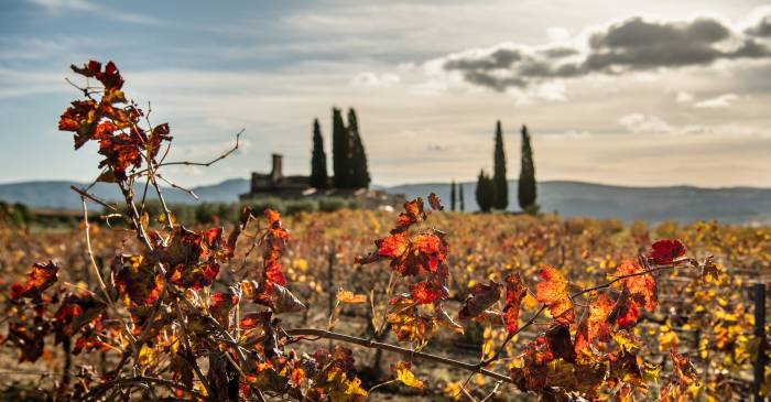 Sumarroca obtiene la distinción de Cava de Paraje Calificado para tres de sus vinos Núria Claverol