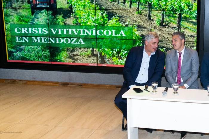 El desplome del 73% en las exportaciones de vino argentino pone en jaque al sector vitivinícola de Mendoza