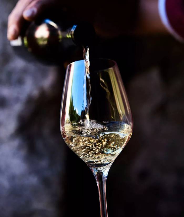 French Study Finds Vintage Year Drives Amino Acid Changes in Chenin Blanc During Lees Ageing