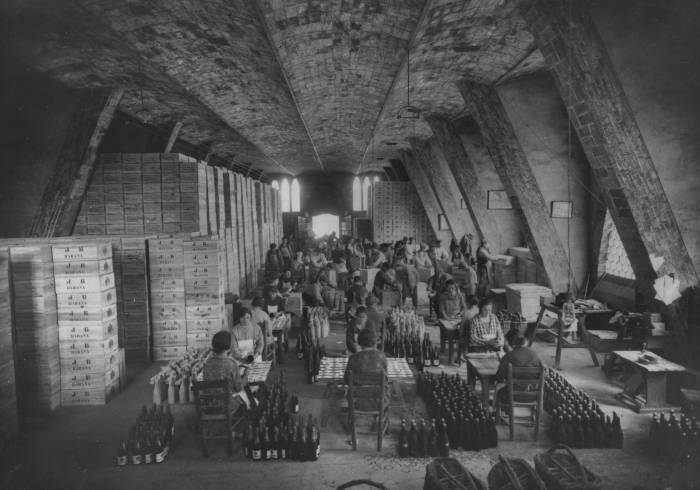 Codorníu abre una nueva visita guiada para mostrar documentos y espacios inéditos de su bodega