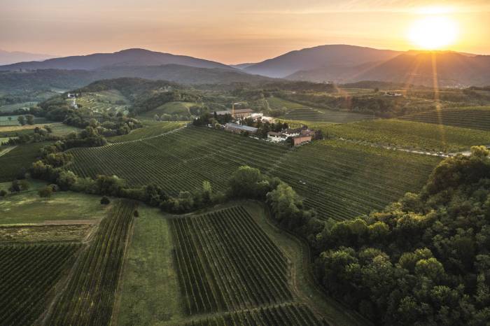 Zorzettig Winery Unveils New Vintages at ProWein 2026 in Düsseldorf