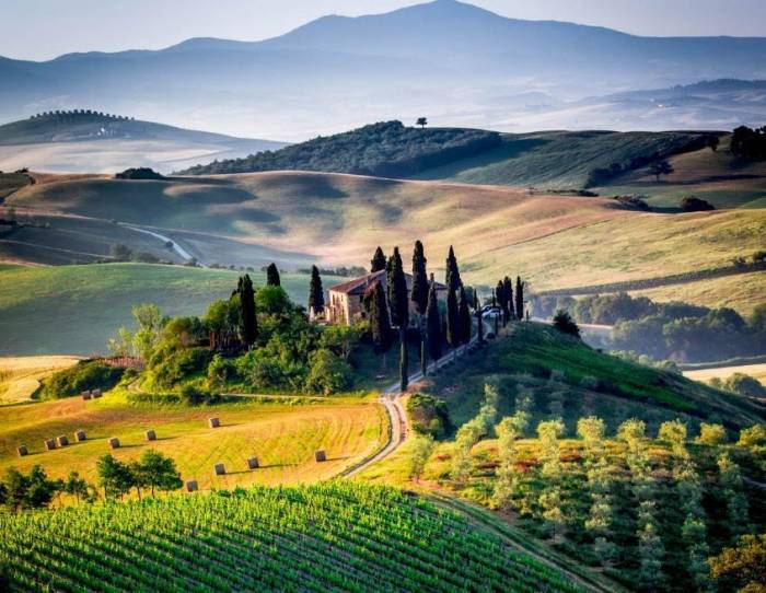 Forbes Italia Unveils 100 Iconic Wineries Shaping the Future of Italian Wine