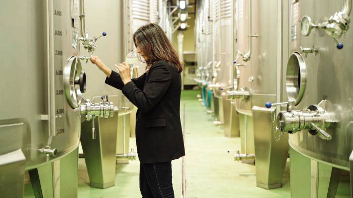 Casi el 45% de los viticultores de Rías Baixas son mujeres y su presencia crece en todos los ámbitos