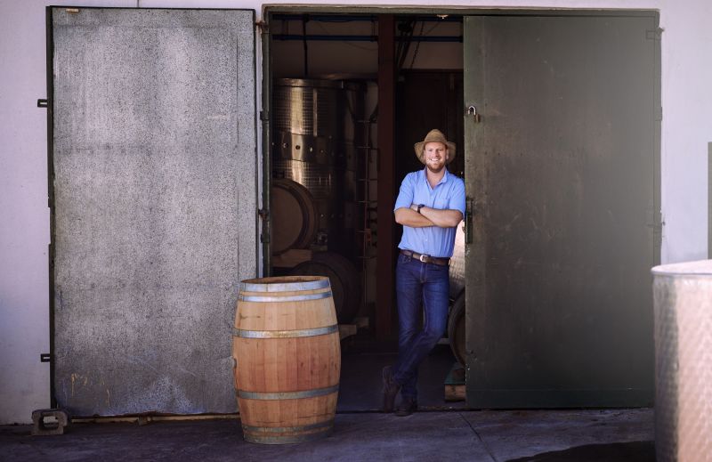 California’s New Wine Regions Suffer as Grape Prices Fall