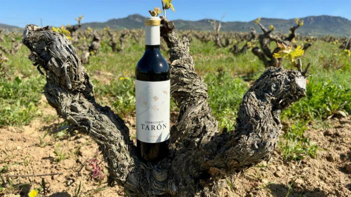 Territorio Tarón logra 95 puntos y medalla de oro en el IWSC