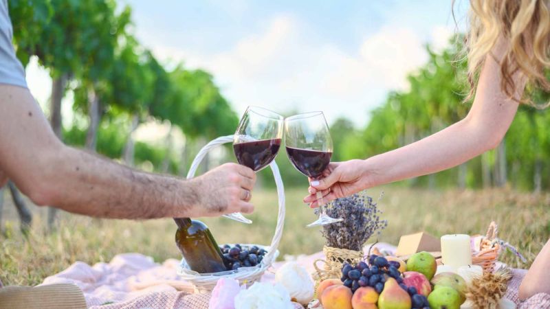 Italian Wine Tourism Grows Despite Business Gaps