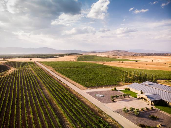 Finca Río Negro abre sus viñedos a una escapada de un día cerca de Madrid