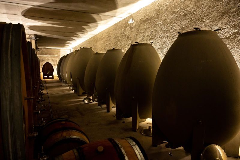 La forma del recipiente gana peso en la crianza del vino