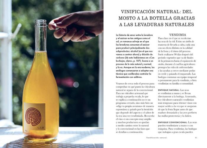 Rachel Signer convierte el vino natural en una guía práctica para entender su auge