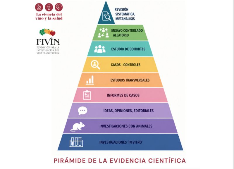FIVIN explica por qué un estudio sobre vino no prueba por sí solo efectos en la salud