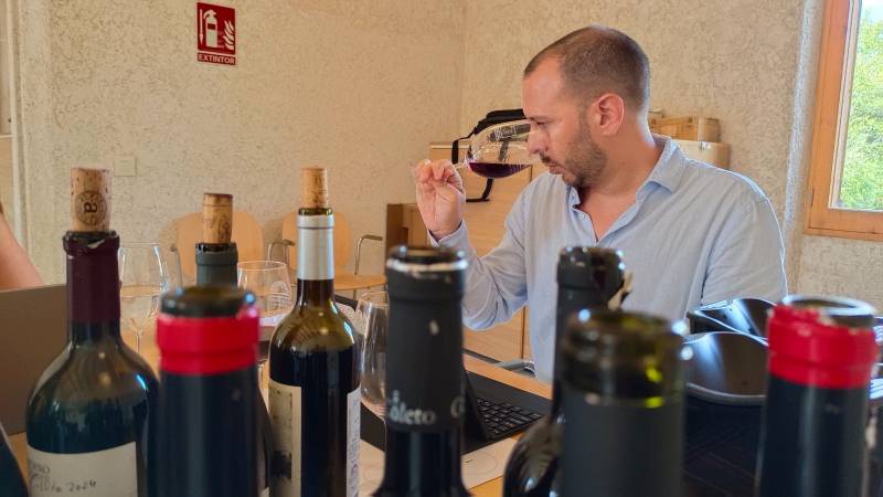 Binissalem firma las dos mejores notas en una cata mallorquina de 139 vinos