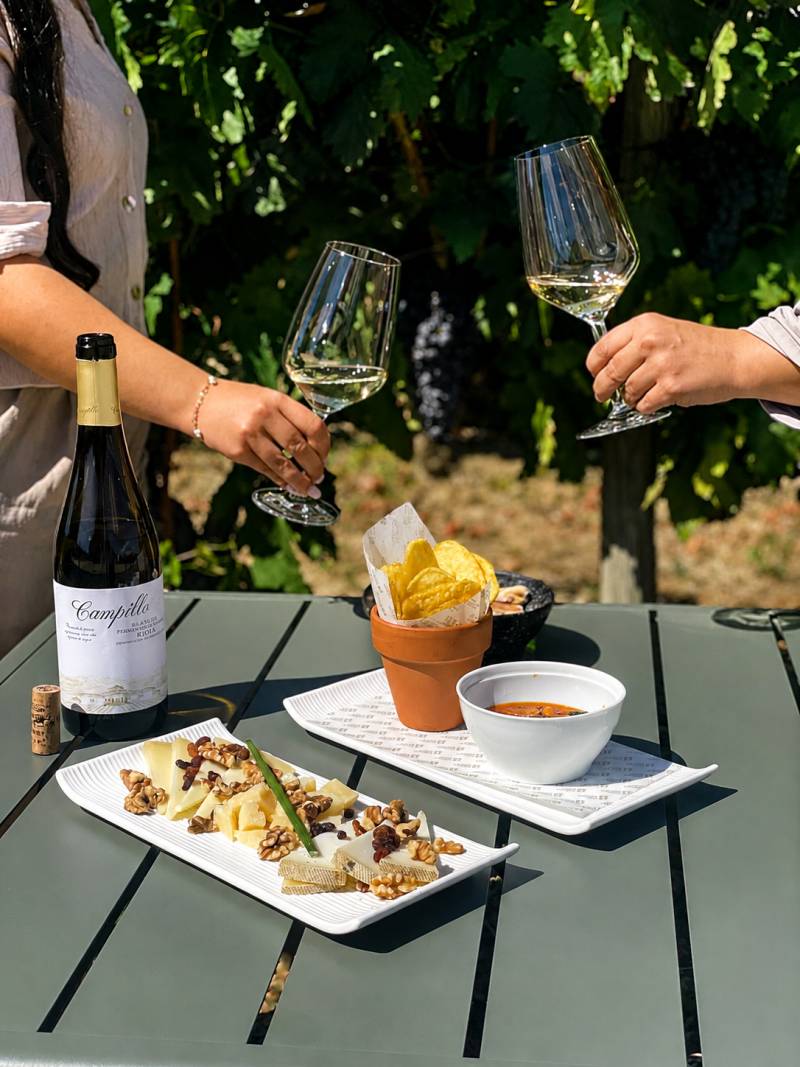Bodegas Campillo abre un bar de vinos para visitas más flexibles en plena vendimia