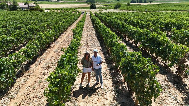 Alba en Ribera afronta la vendimia con recogida manual para preservar la frescura de la uva ecológica