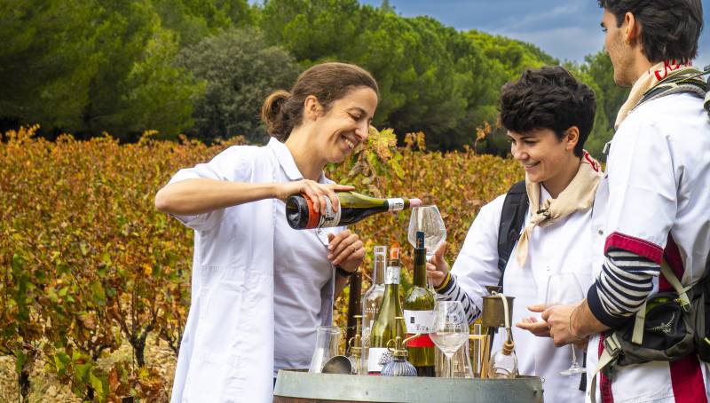 El departamento francés de Aude centra su oferta en dos rutas entre viñedos, gastronomía y montaña