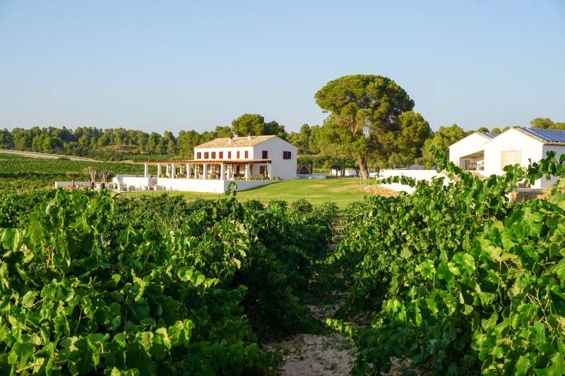 Clos Cor Ví relanza su proyecto con cuatro vinos centrados en Moixent y Requena