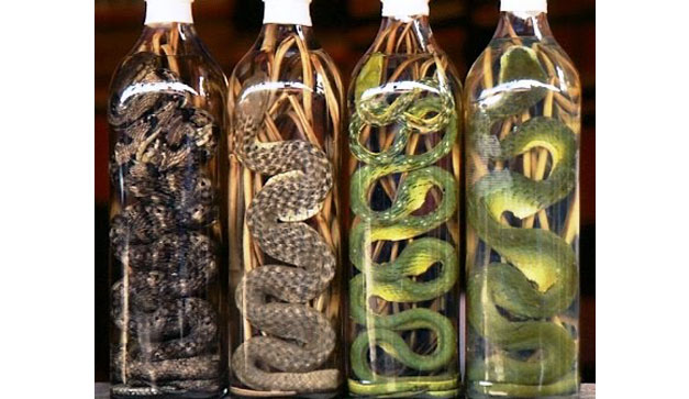 Licores asiáticos de serpientes