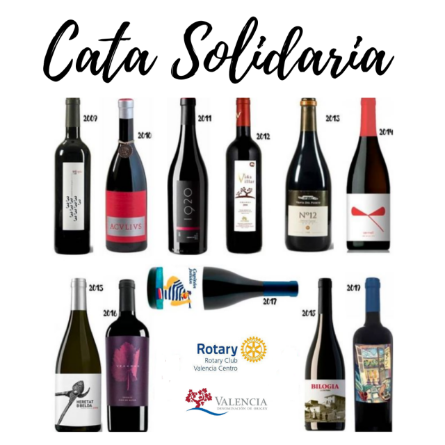 catasolidaria2.png