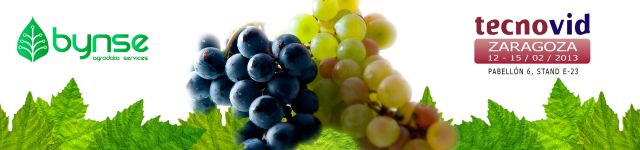slide-tecnovid2013.jpg