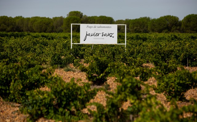 pago_saltamontes_javier_sanz_viticultor.jpg