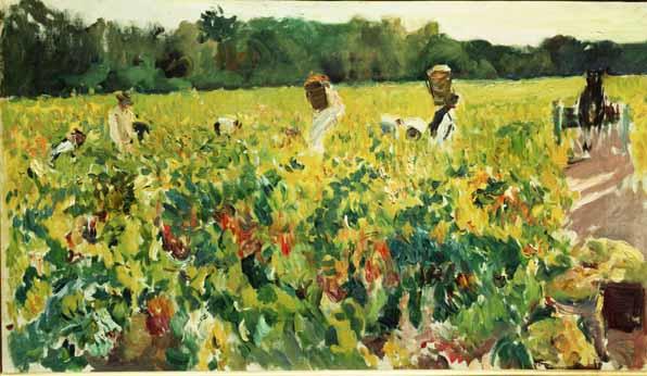 Vendimiando, Jerez. Joaquín Sorolla