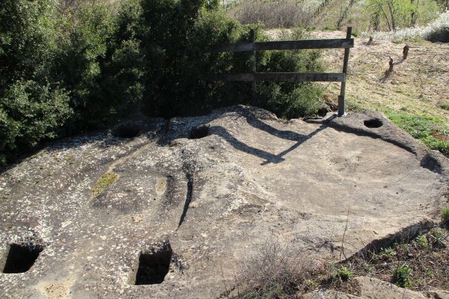 Lagar rupestre en la Rioja Alta