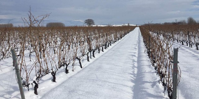 1_viedo-bodegas-el-inicio-nieve.jpg