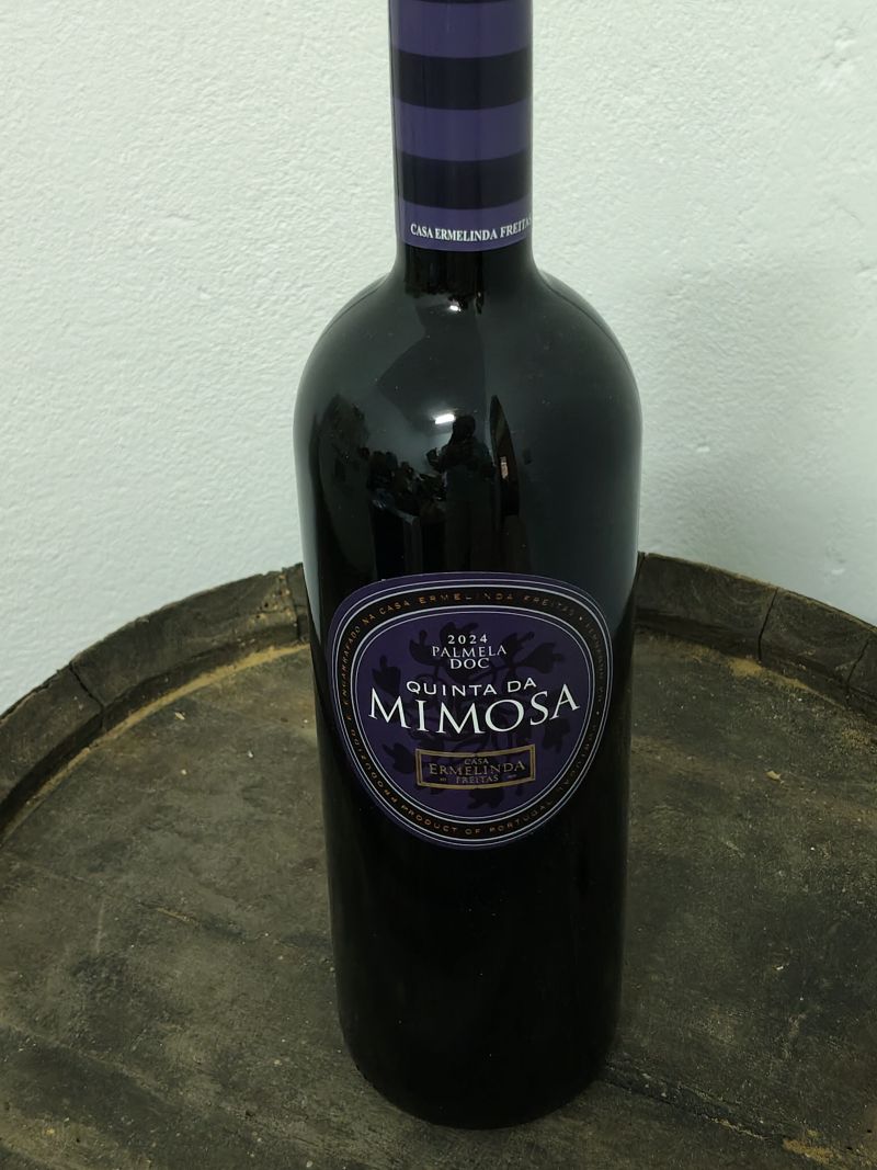 Casa Ermelinda Freitas: un siglo de liderazgo femenino y una colección de vinos que engrandece la Península de Setúbal