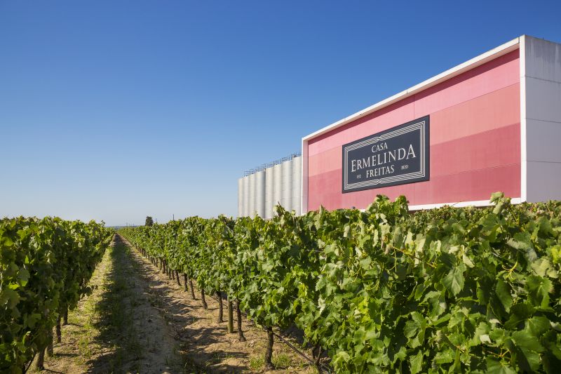 Casa Ermelinda Freitas: un siglo de liderazgo femenino y una colección de vinos que engrandece la Península de Setúbal