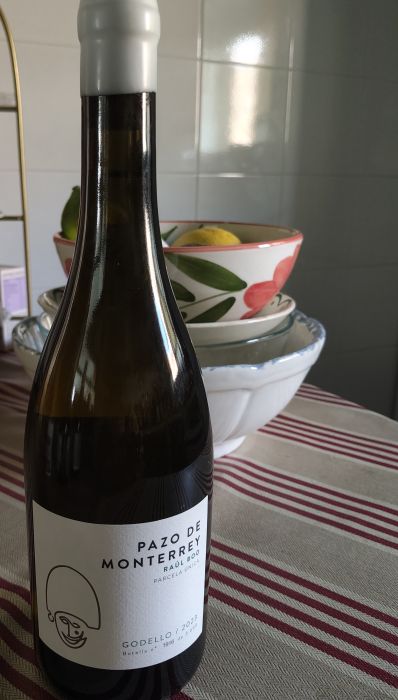 Raúl Boo, expresión elegante del godello